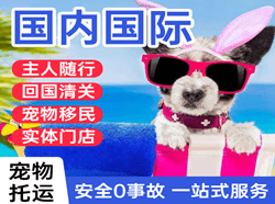 且末玉都机场快运国际宠物托运 【国